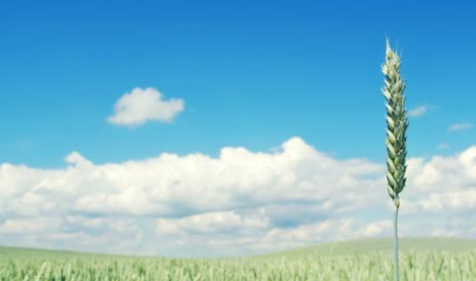 农视云为智慧农业发展推进助力