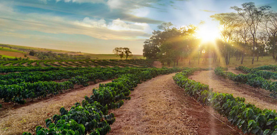 智慧农业溯源系统助力农产品管理