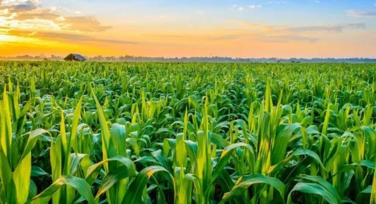 现代农业智能灌溉技术的快速发展