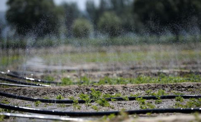 现代农业自动化节水灌溉系统的便利性