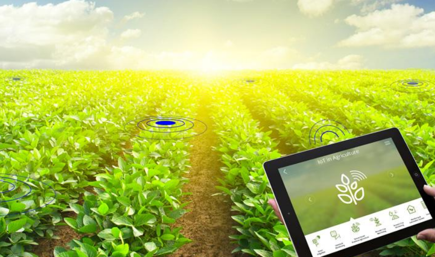 智慧农场利用互联网科技引领现代化管理
