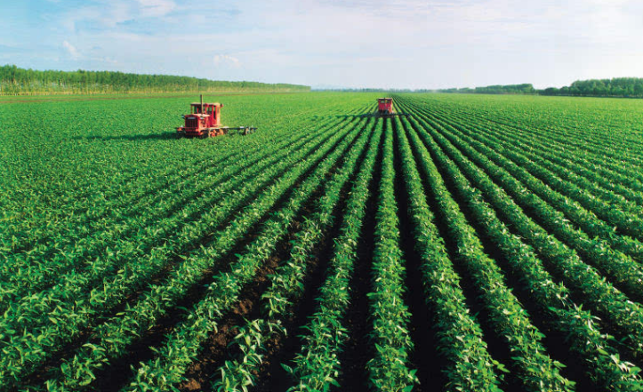 高新技术产业推动智慧农业发展