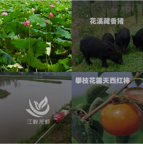 智慧农业发展现状
