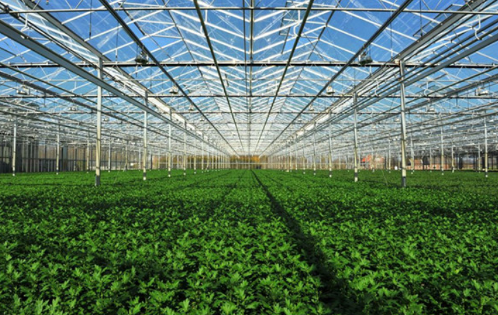温室大棚物联网系统是农产品产量的保障