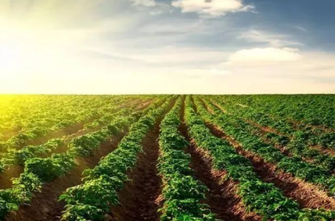 现代农业推动农业可持续发展