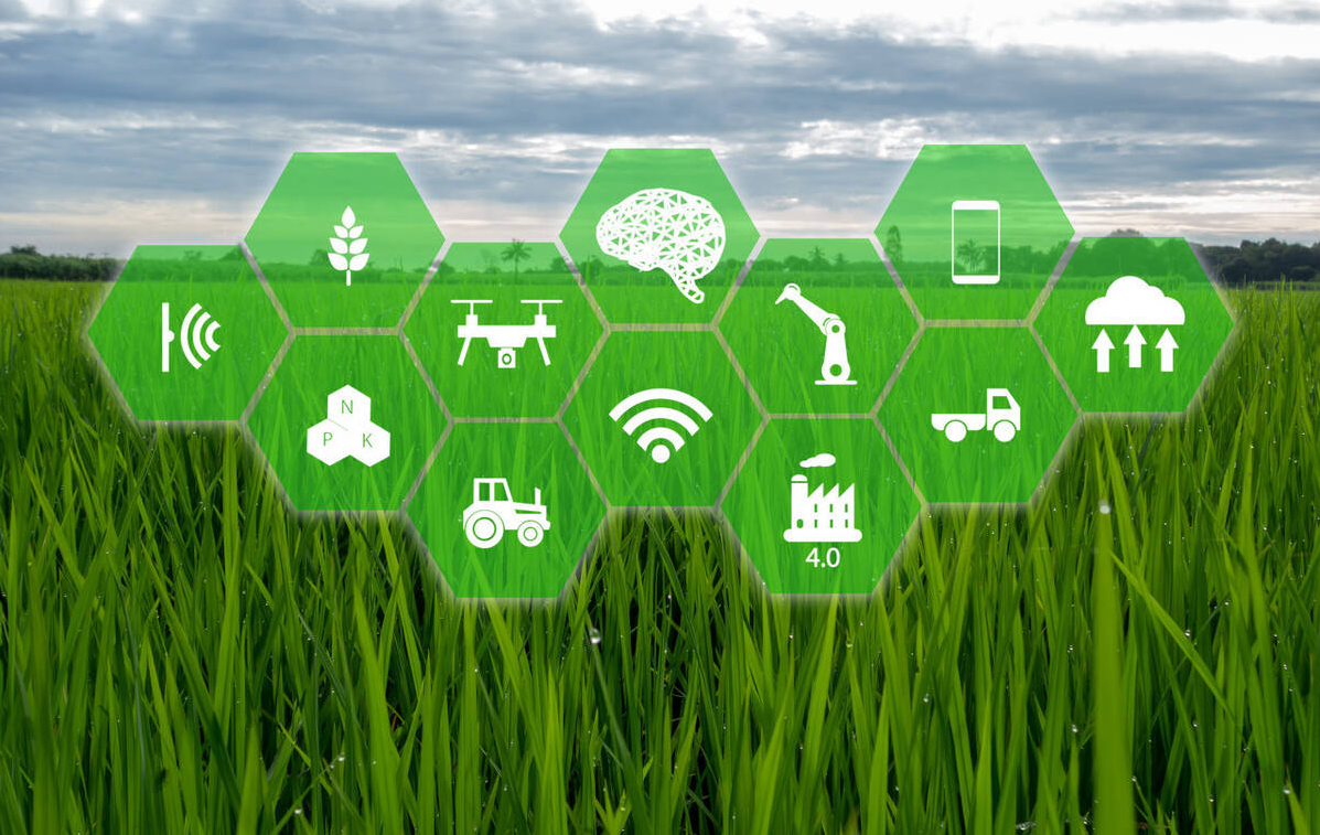 物联网技术如何应用到农业上？
